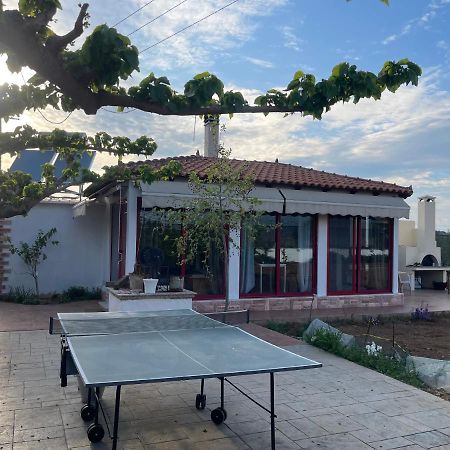 Country Lux Apartment Near Airport Markopoulo Mesogaias Ngoại thất bức ảnh