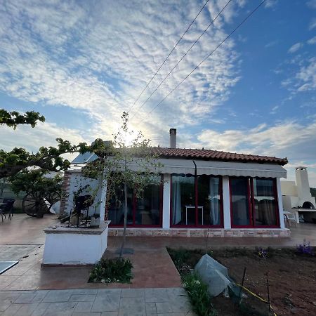 Country Lux Apartment Near Airport Markopoulo Mesogaias Ngoại thất bức ảnh