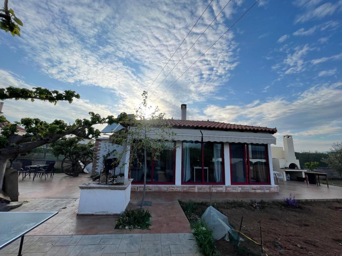 Country Lux Apartment Near Airport Markopoulo Mesogaias Ngoại thất bức ảnh